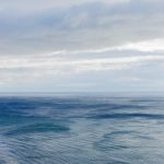 space marines codex pdf 10th edition